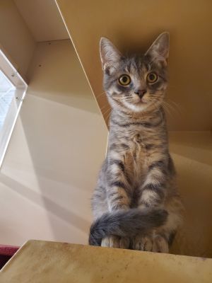 . Frankie .