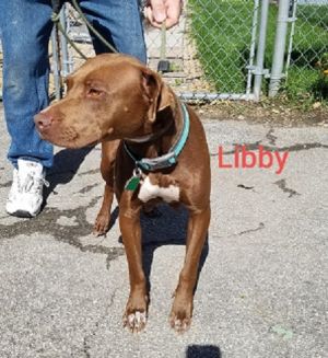 . Libby .