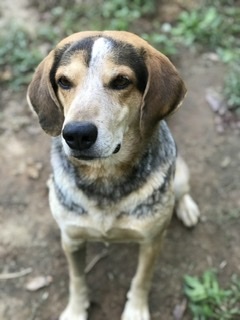 . Jake .