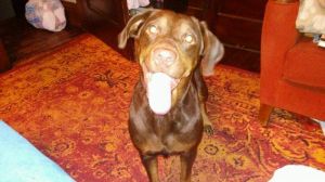 . Mable (Marta) .