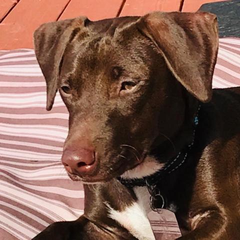 . Coco .