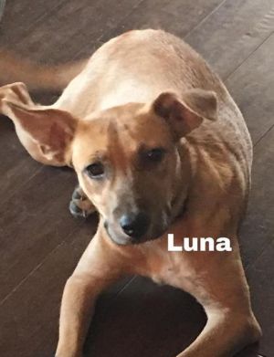 . Luna .