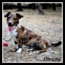 . Diegito .