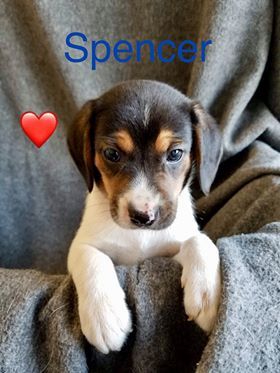 . SPENCER .