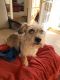 . Clancy. ADOPTED 11/13/15! .