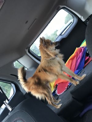 . Kodi .