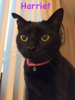 Photo of Harriet