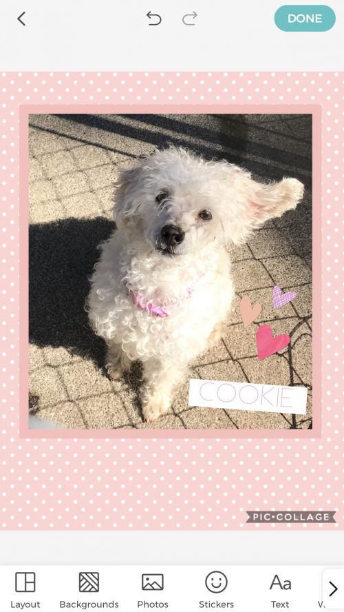 . Cookie .