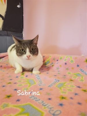 . Sabrina .