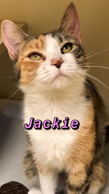 . Jackie .