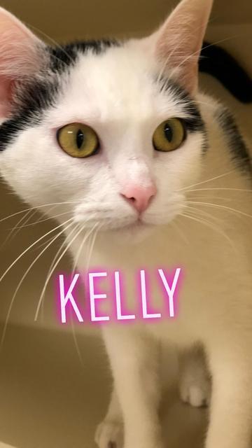 . Kelly .