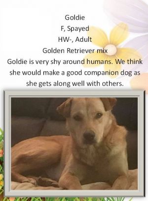 . Goldie .