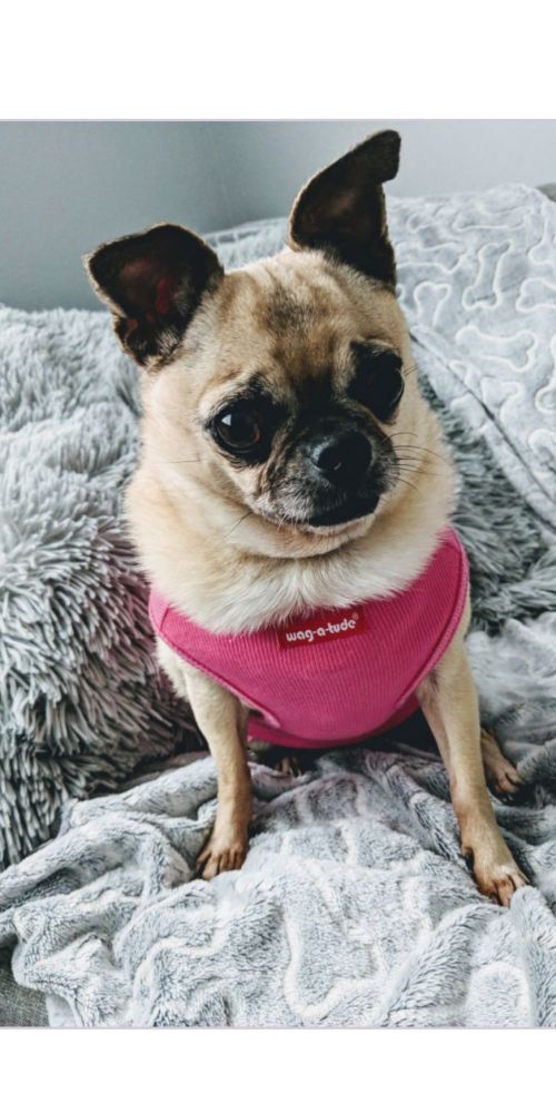 . Gigi .
