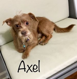 . Axel .