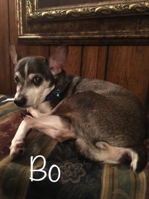 . Bo .