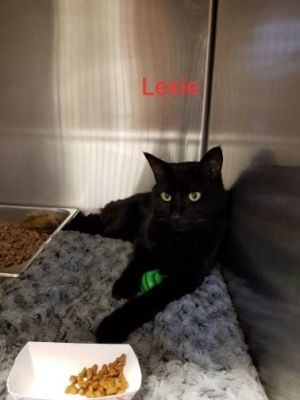 . Lexie .