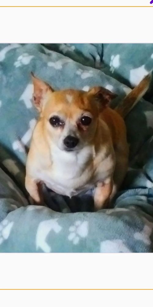 . Bella .