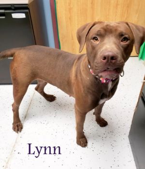 . Lynn .