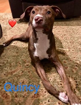 . QUINCY .