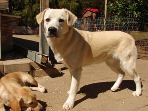 . OH HENRY (OMGolly Handsome!) .