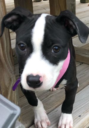 Photo of Ellee