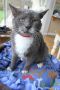 . Elmer, our special needs lover boy! .