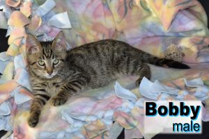 . Bobby .