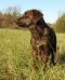 . Mr. Fred Rogers (Therapy quality, named after actor Tom Hanks' character in new movie) .