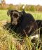 . CAST-AWAY (Named after Tom Hank's movie, but she is a GEM) .