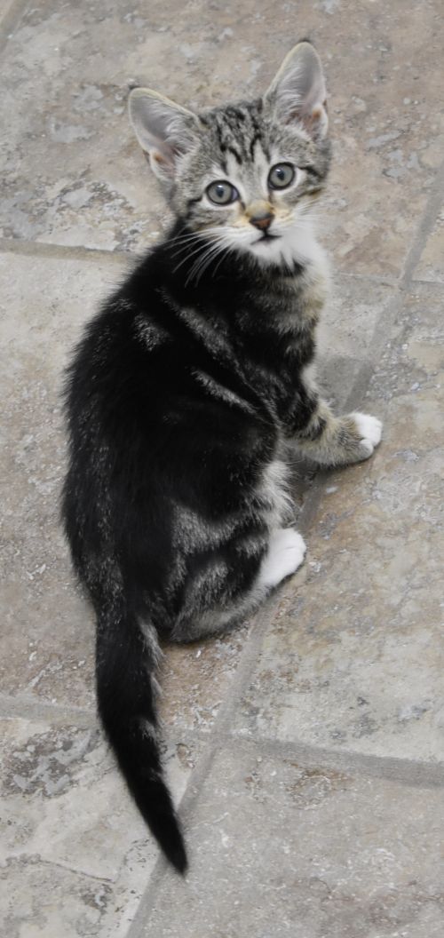 . Sabrina .