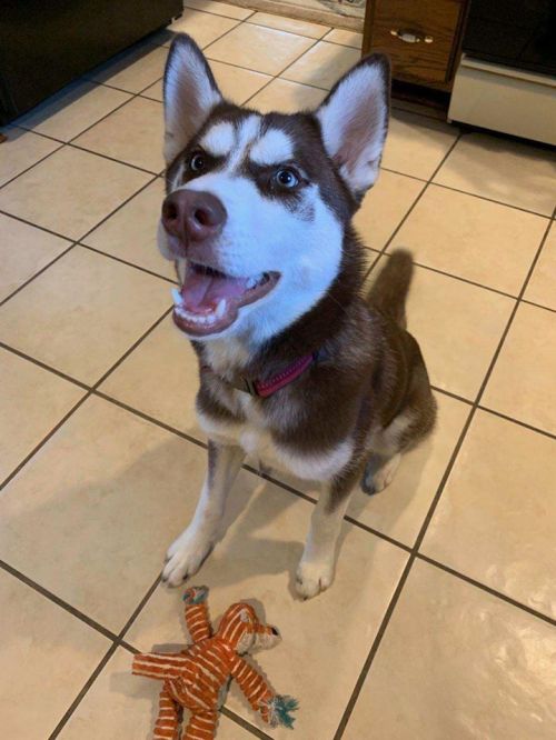 . Kona .