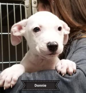 . Donnie .