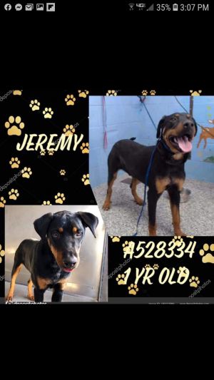 . Jeremy .