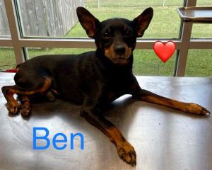 . BEN .
