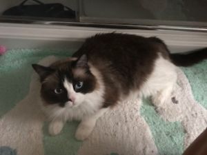 . Kiki .
