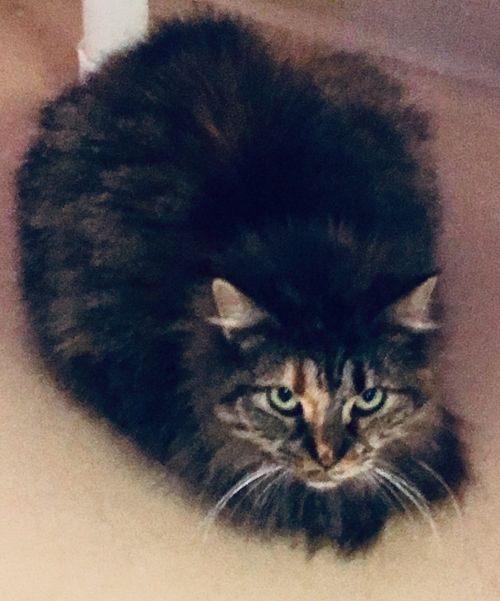 . Sophie .