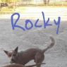 . Rocky .