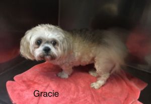 . Gracie Anne .