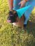 . Ella Sue .
