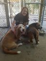 . BoBo and Daisey .