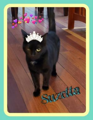 . Suzetta (TAS #15) .