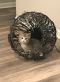 . Phoebe- HAS APPROVED ADOPTER .