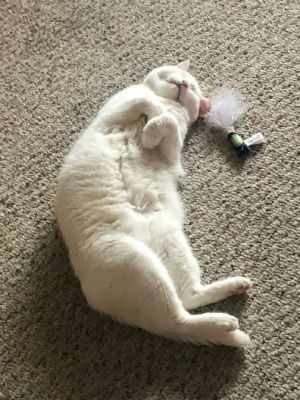 . Ella .
