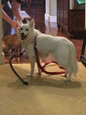 . Bella .