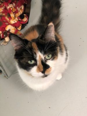 . Heidi .