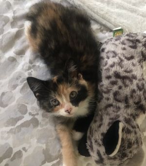 . Tina .