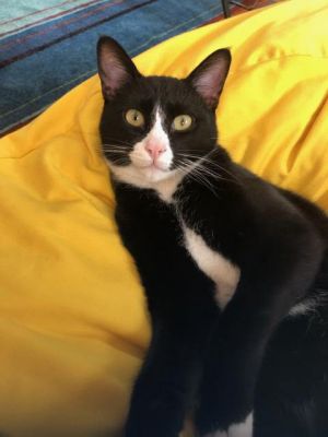 Bob