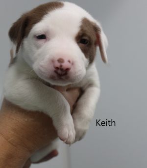 . Keith .