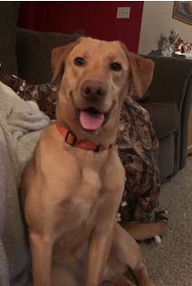 Photo of Murphy