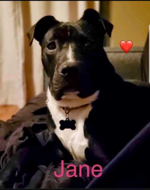 . JANE .